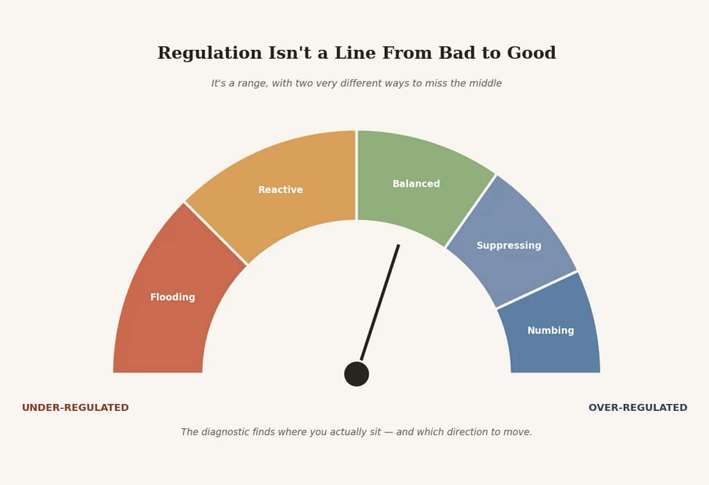 Emotional Regulation Meter