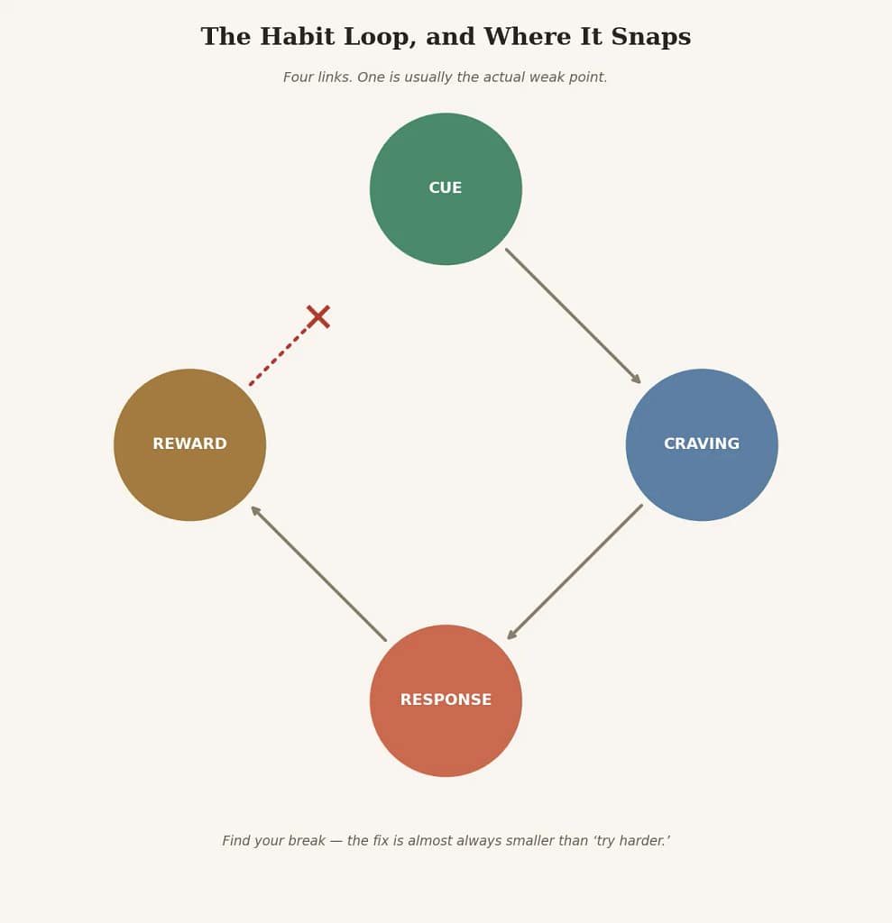 Habit Formation Aligner